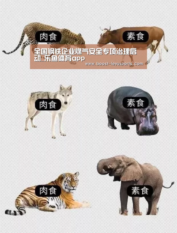 全国钢铁企业煤气安全专项治理启动_乐鱼体育app(图3) 乐鱼体育app