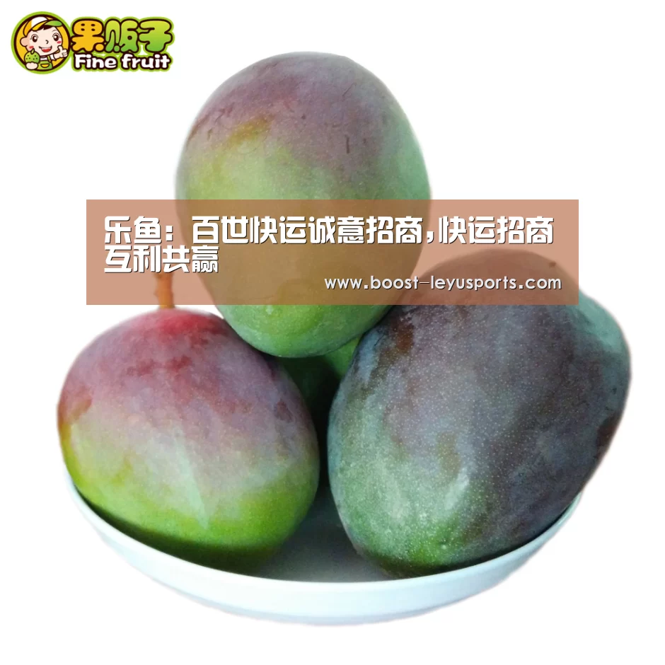 乐鱼:百世快运诚意招商,快运招商互利共赢(图3) 乐鱼体育app