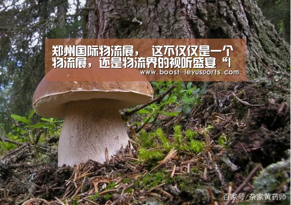 郑州国际物流展, 这不仅仅是一个物流展,还是物流界的视听盛宴“leyu”(图2) 乐鱼体育