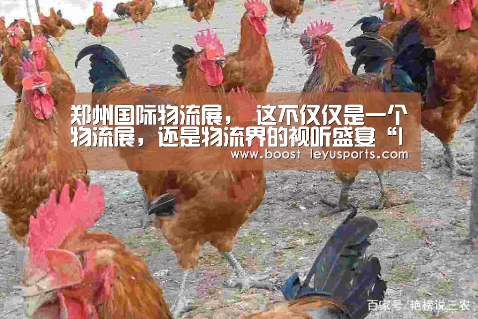 郑州国际物流展, 这不仅仅是一个物流展,还是物流界的视听盛宴“leyu”(图4) 乐鱼体育